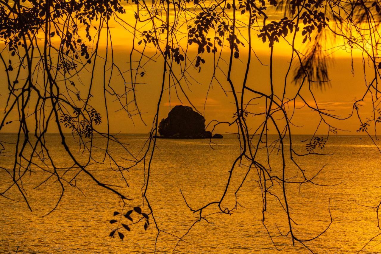 Swiss Cottage Tioman Kampong Ayer Batang Экстерьер фото